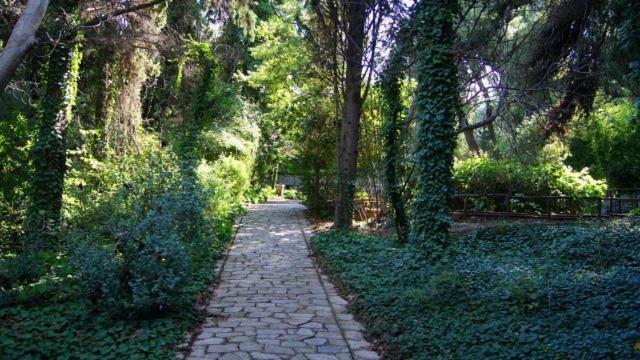 Greek Hospitality 2 Apartment Athena Bagian luar foto